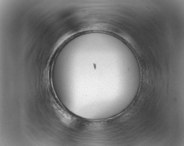 X0000078841078200611131143