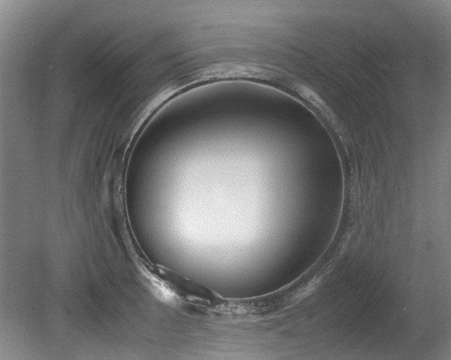 X0000078841089200611131142