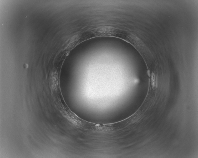X0000078841107200611131141