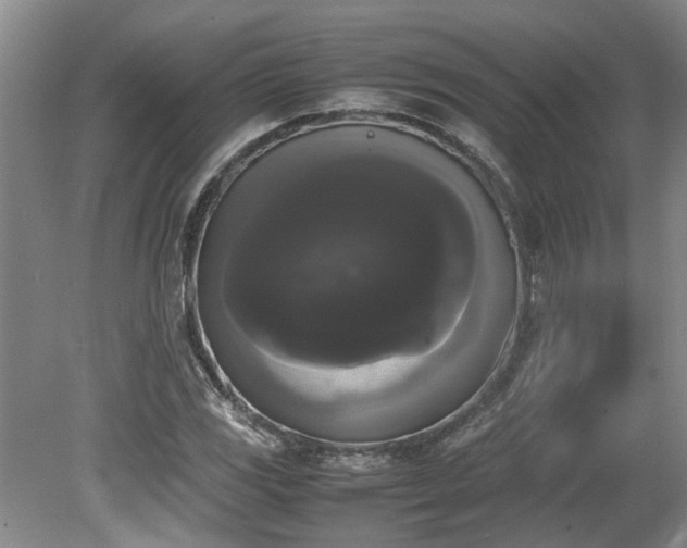 X0000078841117200611131141