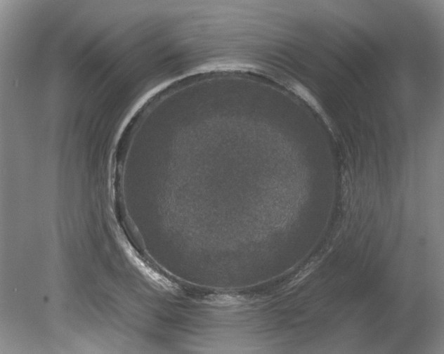 X0000078841124200611131142