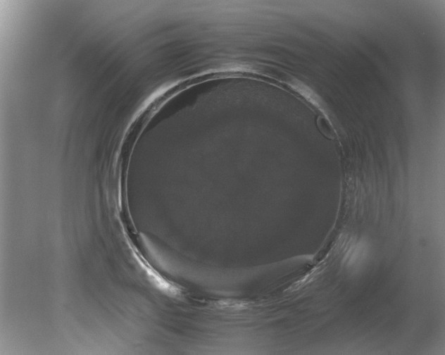 X0000078841127200611131142