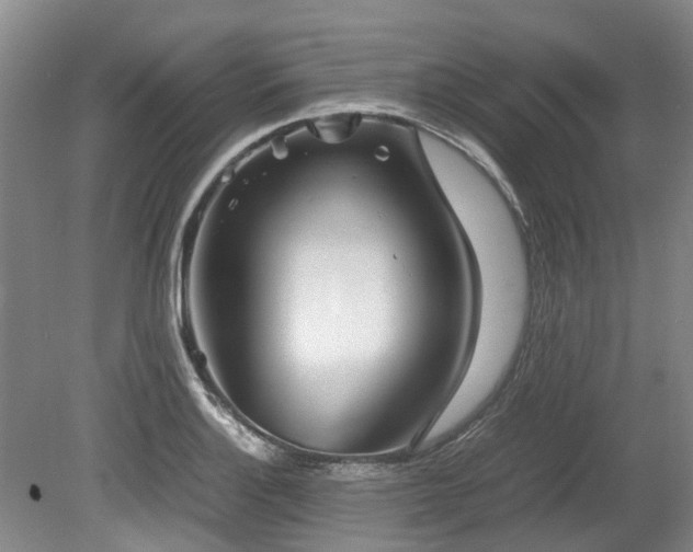 X0000078841132200611131142