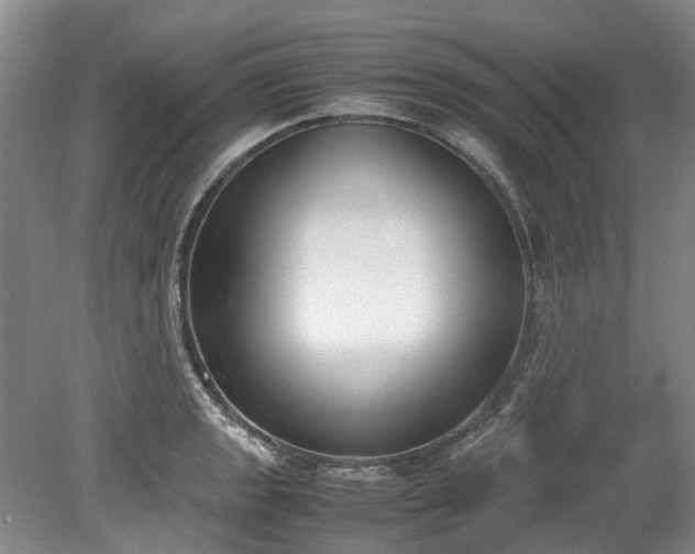 X0000078841133200611131142