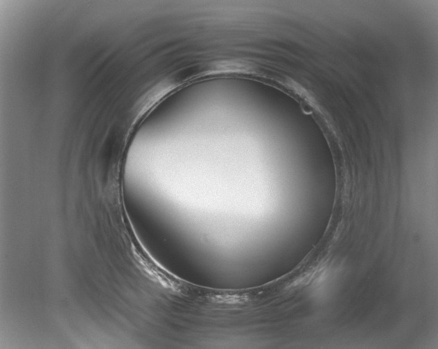X0000078841137200611131142