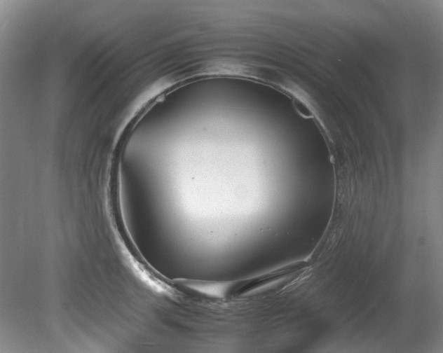 X0000078841139200611131142