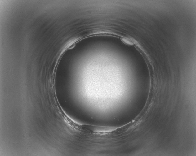 X0000078841145200611131142