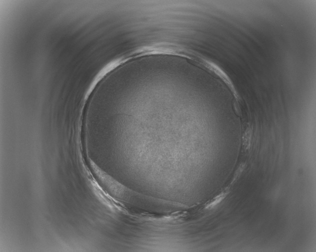 X0000078841146200611131142