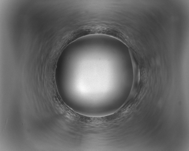 X0000078841153200611131141