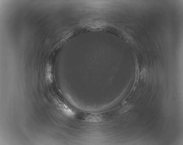 X0000078841156200611131141