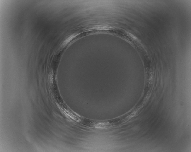 X0000078841161200611131141