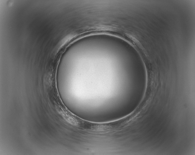 X0000078841163200611131141