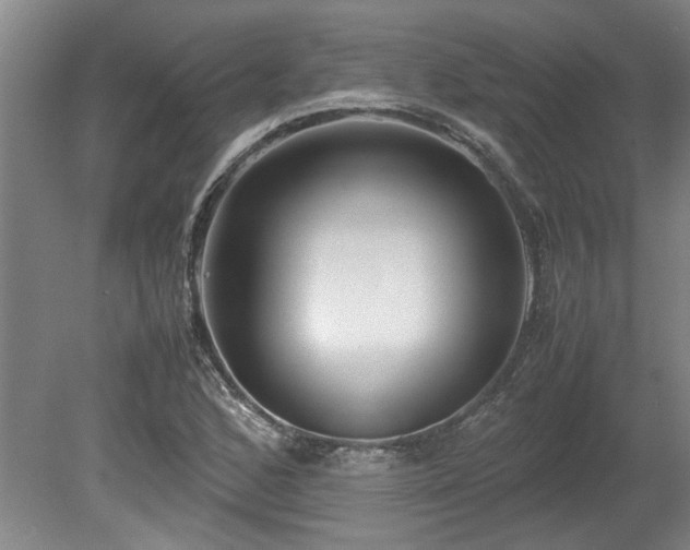 X0000078841168200611131141