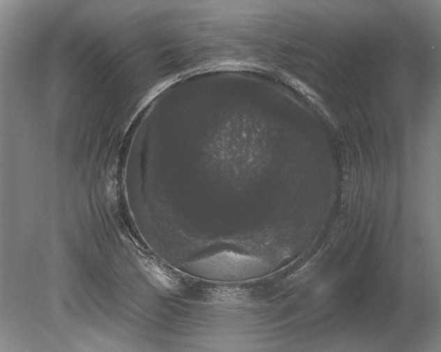 X0000078841170200611131141