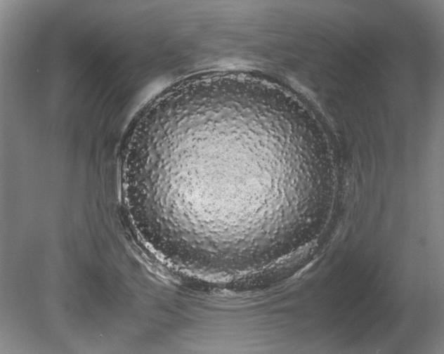 X0000078841171200611131141