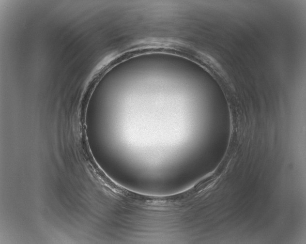 X0000078841172200611131141