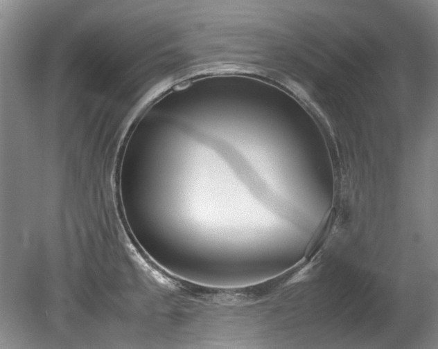 X0000078841189200611131141