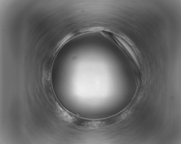 X0000078841193200611131141
