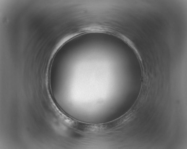 X0000078841195200611131141