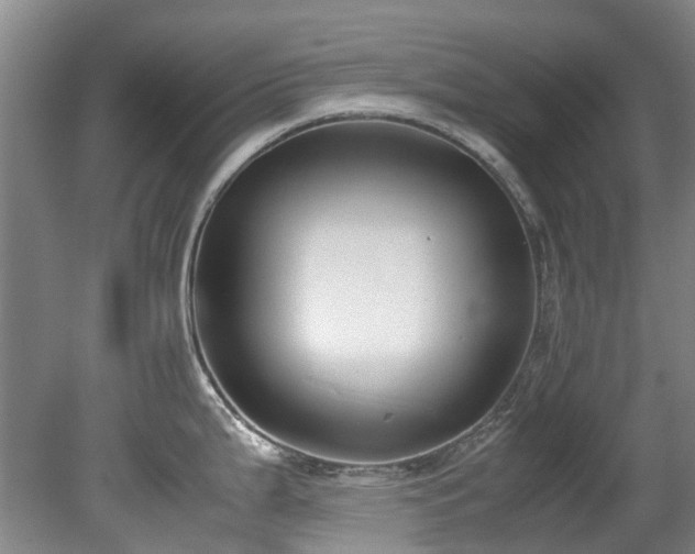 X0000078841199200611131140