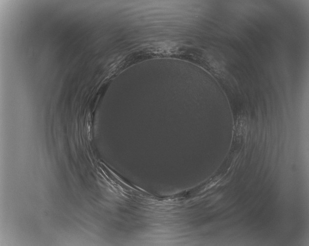 X0000078841202200611131140