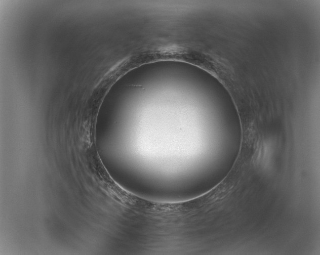 X0000078841205200611131140