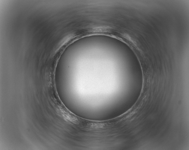 X0000078841211200611131140