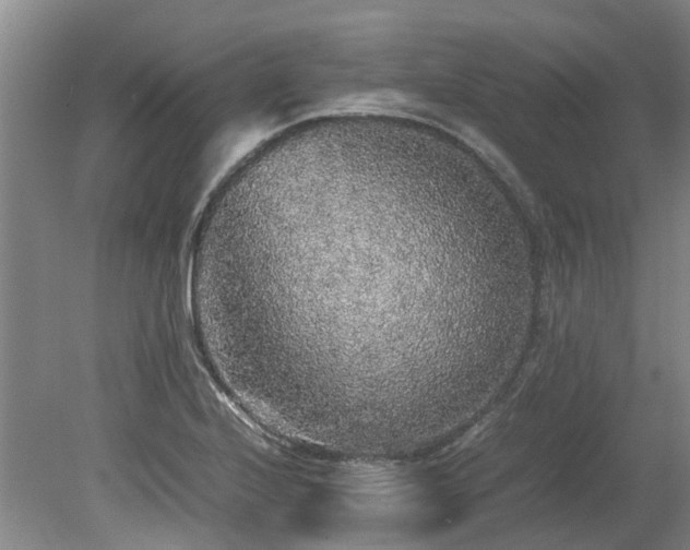X0000078841224200611131140