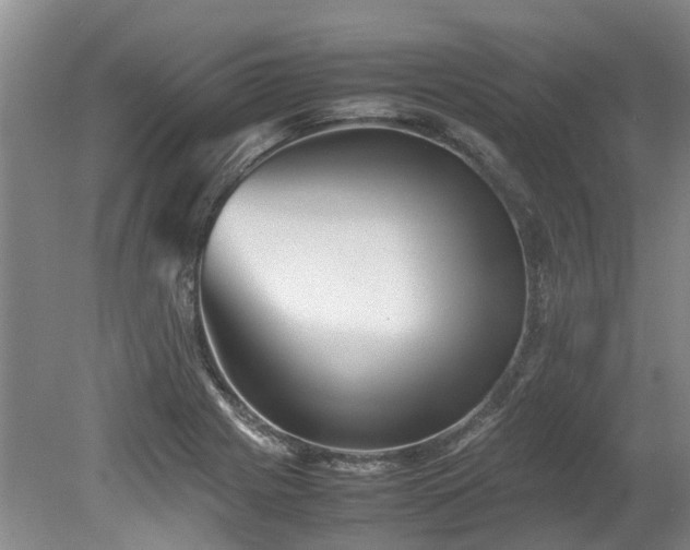 X0000078841225200611131140