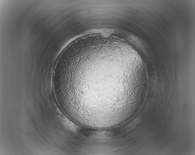 X0000078841228200611131140