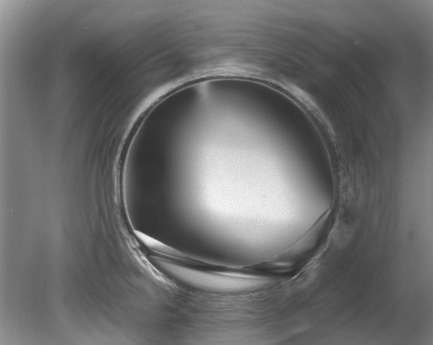 X0000078841238200611131140