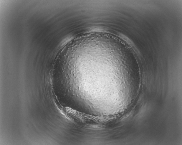 X0000078841241200611131140