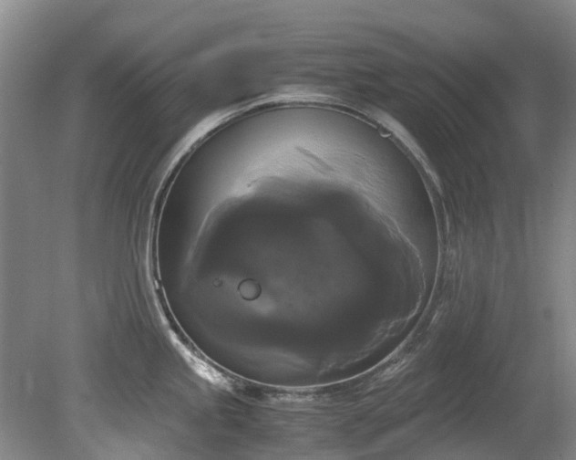 X0000078841245200611131140