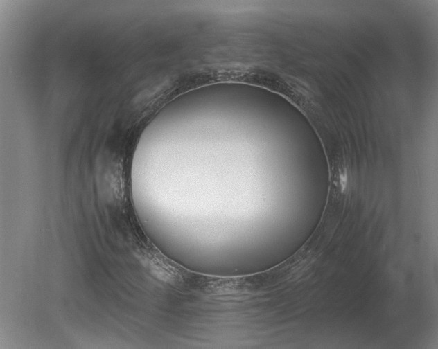 X0000078841252200611131140