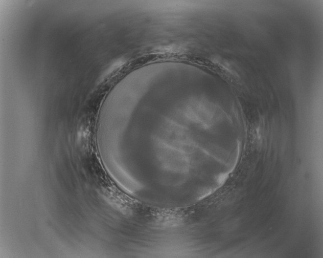 X0000078841254200611131140