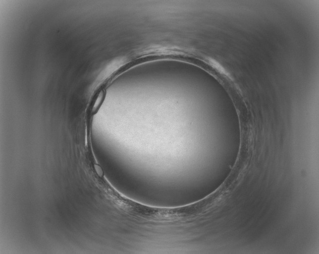 X0000078841269200611131139