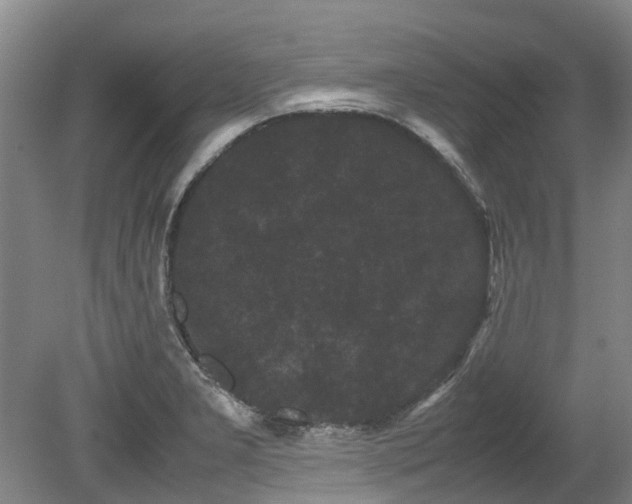 X0000078841277200611131139