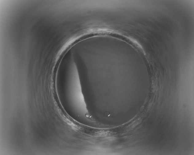 X0000078841279200611131139