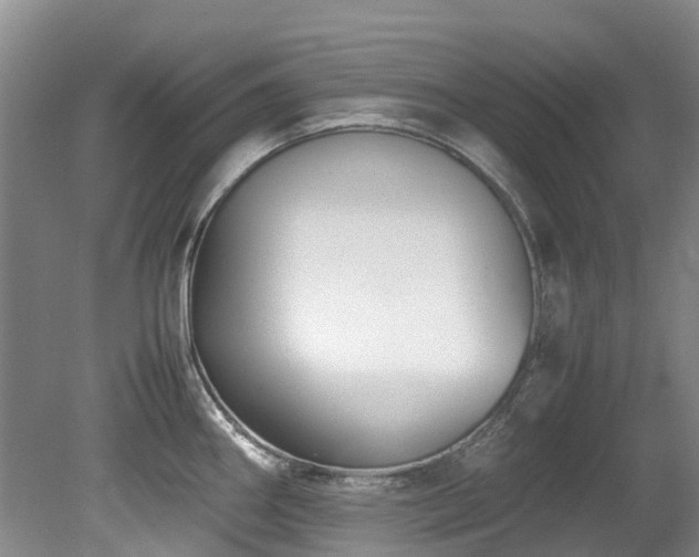X0000078841290200611131139