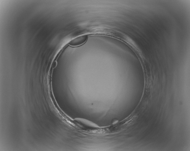 X0000078841291200611131139