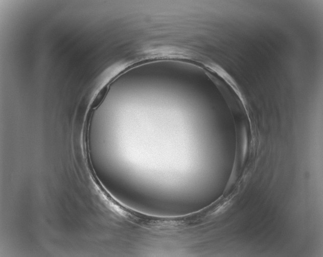 X0000078841293200611131139