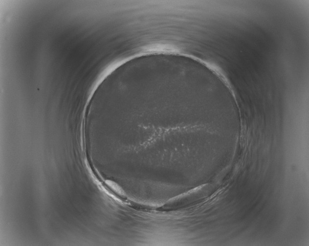 X0000078841295200611131139