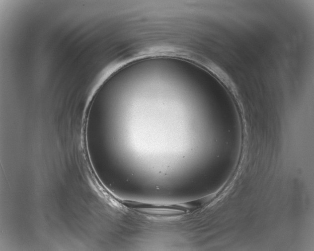 X0000078841296200611131139