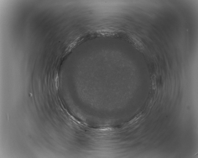 X0000078841298200611131138