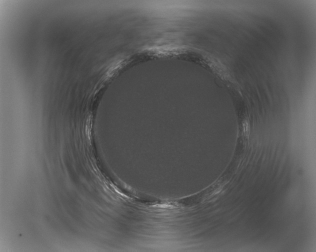 X0000078841300200611131138