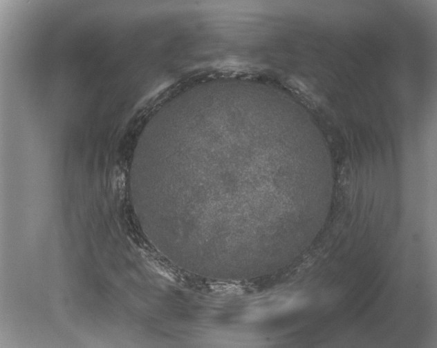 X0000078841302200611131138