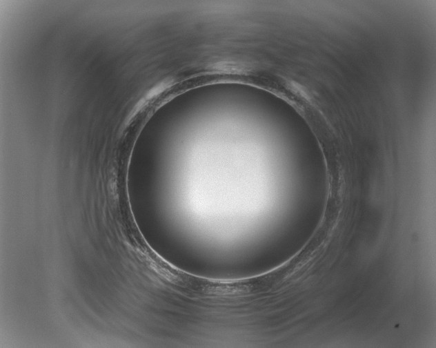 X0000078841307200611131138