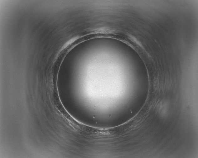 X0000078841315200611131138