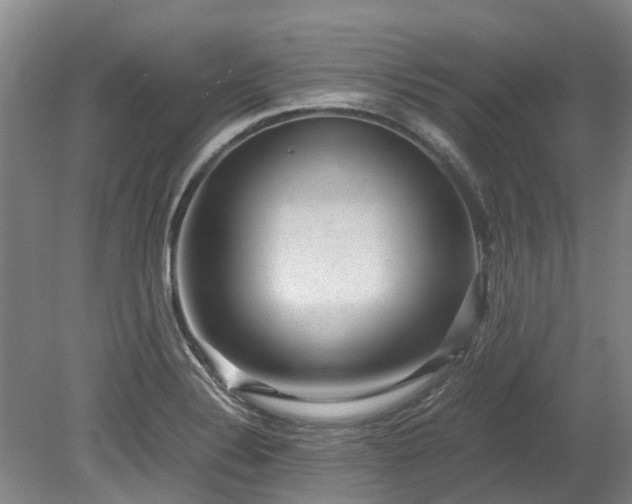 X0000078841324200611131138