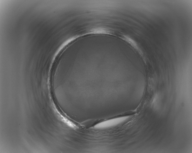 X0000078841331200611131139